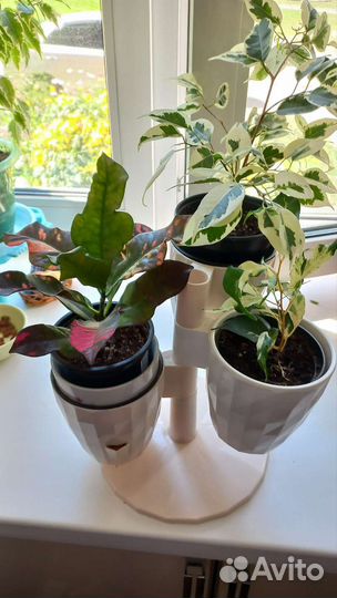 Кашпо горшок для цветов