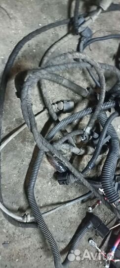 Проводка подкапотная VW transporter T5 1.9