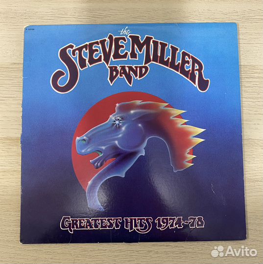 Виниловая пластинка