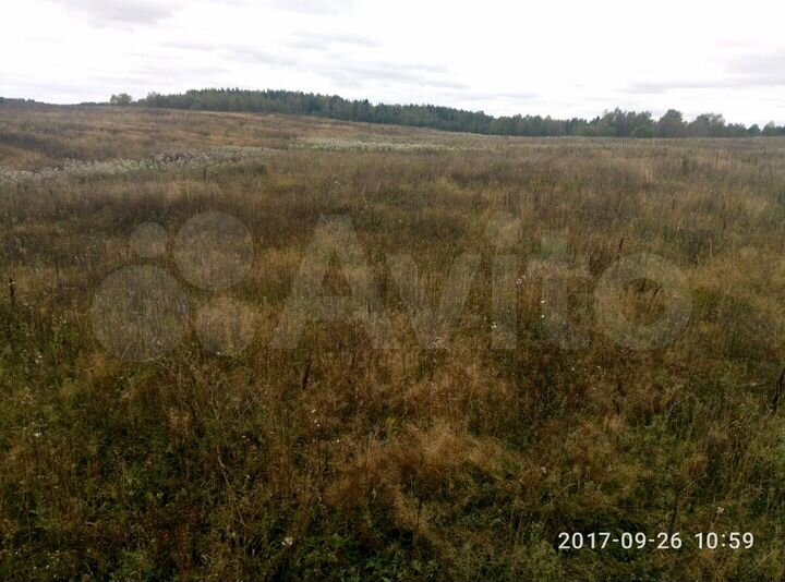 Участок 16 га (СНТ, ДНП)