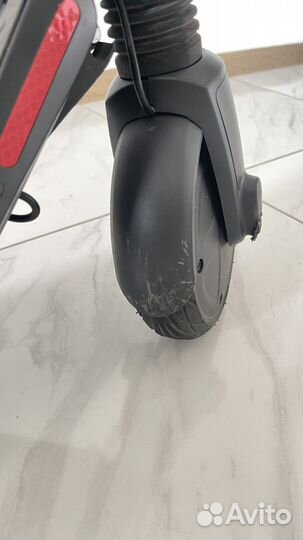 Электросамокат ninebot by segway