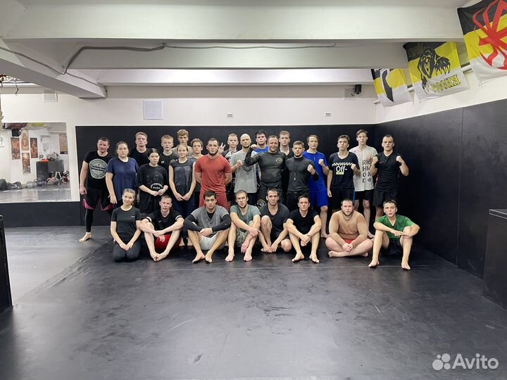 Смешанные единоборства