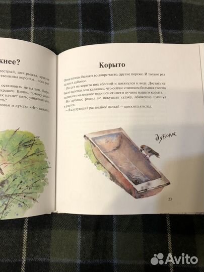 Книга. Кум королю. С. Востоков