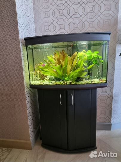 Аквариум tetra панорамный 120л