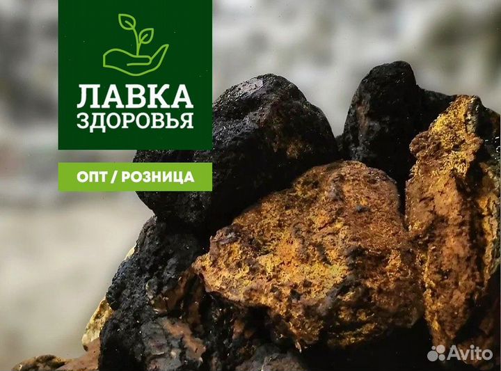 Чага сушеная опт. Любые объемы и виды