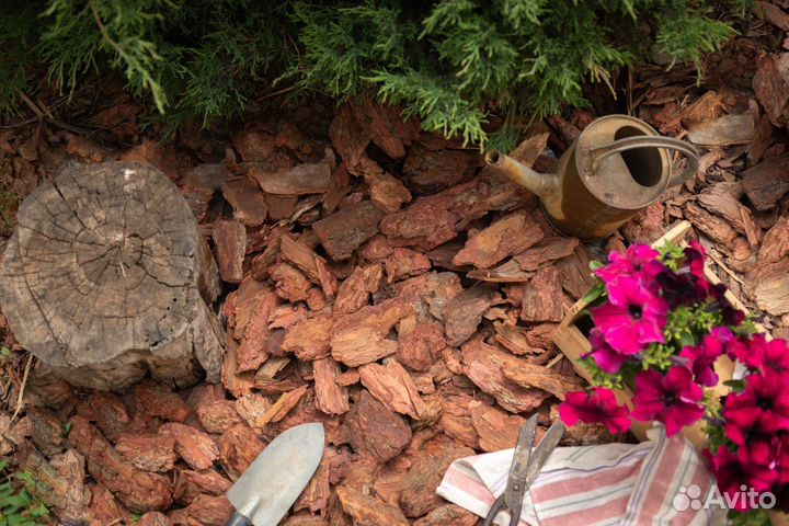 Мульча кора лиственницы (фракция 10-20см)