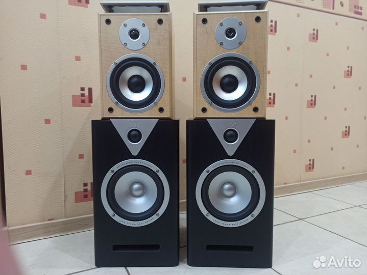 Vector HX210/Quadral quintas 500R