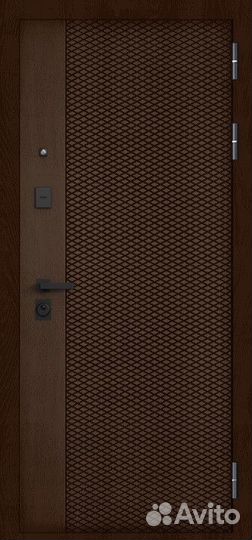 Дверь входная железная в квартиру
