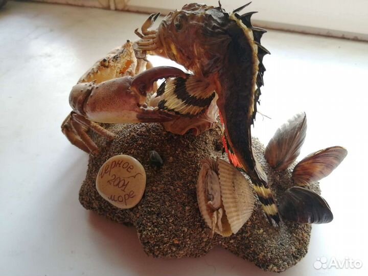 Композиция 