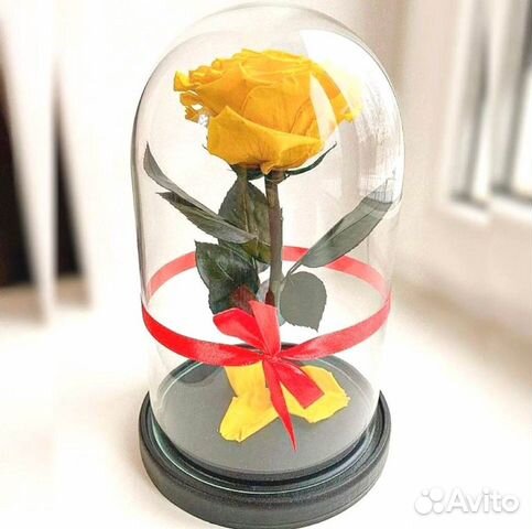 Роза в колбе. Неувядающая