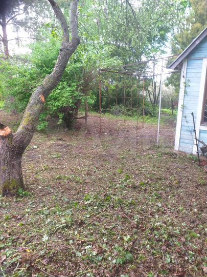 Дача 20 м² на участке 14 сот.