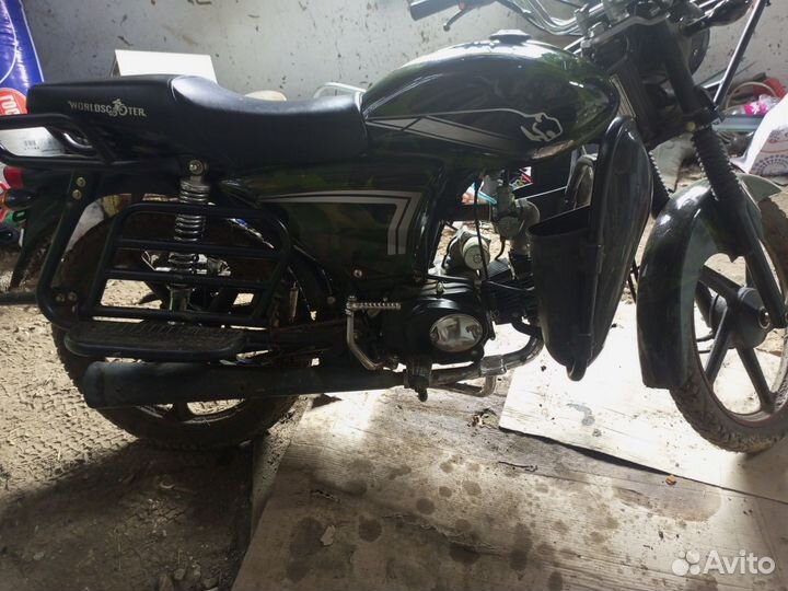 Альфа ягуар лесник