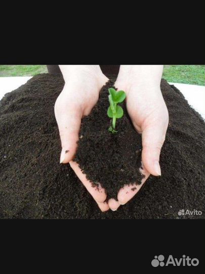 Чернозём в мешках конский навоз перегной