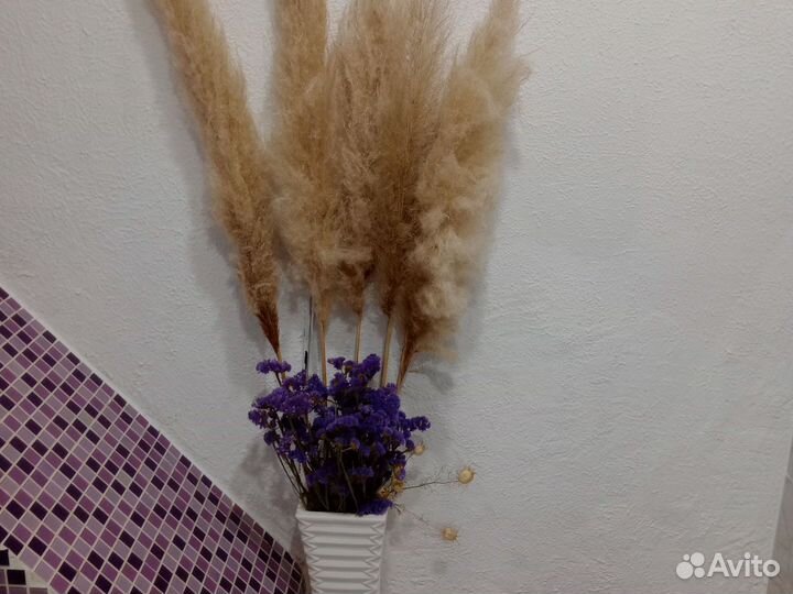 Пампасная трава и букеты из сухоцветов