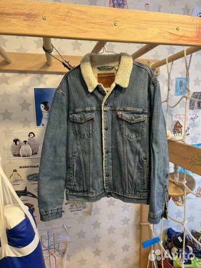 Шерпа levis