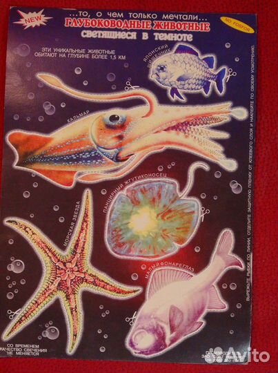 Глубоводные животные - светятся в темноте