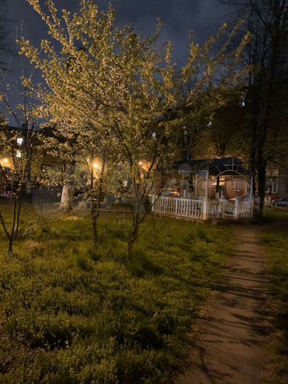 Квартира-студия, 38 м², 1/4 эт.