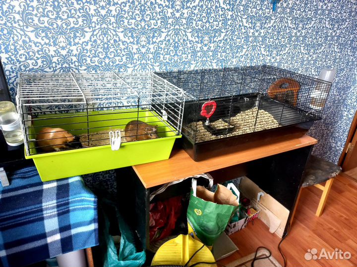 Клетка для грызунов большая,б/у (та что справа)