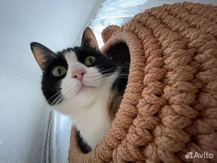 Домик лежанка для кошки