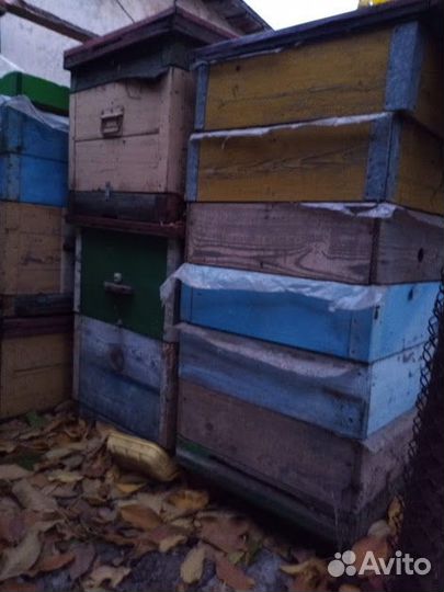 Продам ульи для пчел
