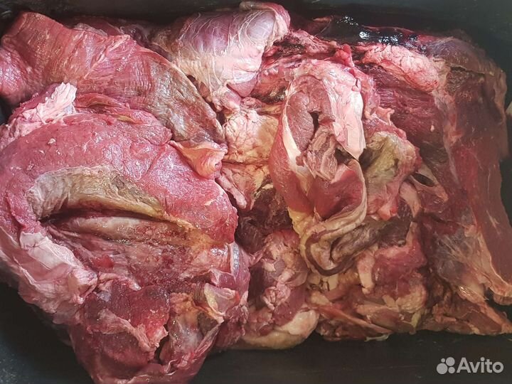 Мясо говядина для собак