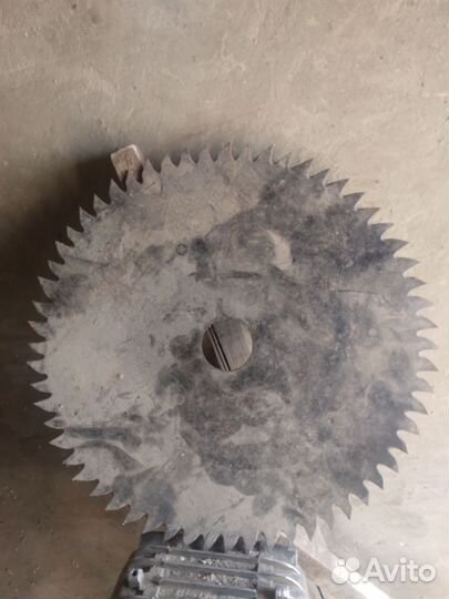 Циркулярный диск