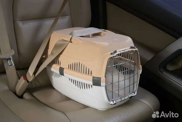 Аренда, прокат. Переноска для животных
