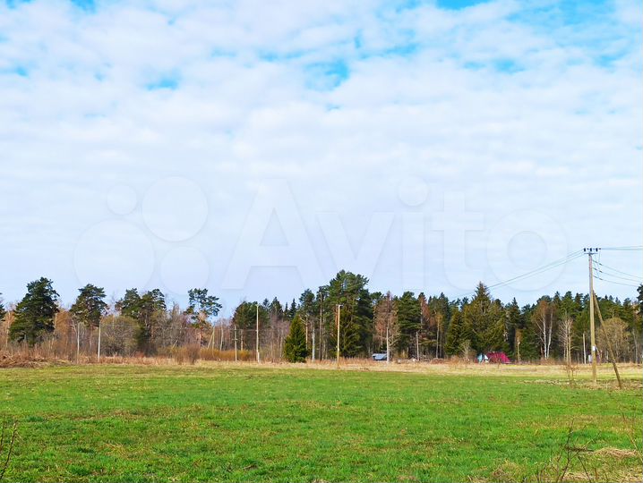 Участок 1,25 га (СНТ, ДНП)