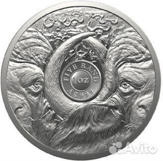 5 Рэнд 2023г юар 2 Буйвол,большая пятёрка, big fiv