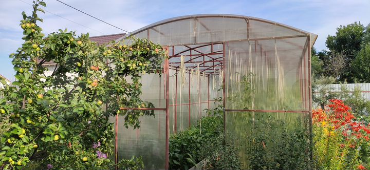 Дача 33 м² на участке 8,2 сот.