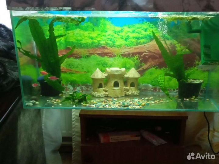 Аквариум