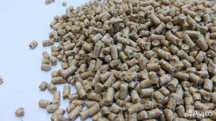 Корм для кур несушек