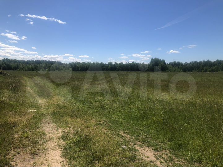 Участок 5 га (ИЖС)