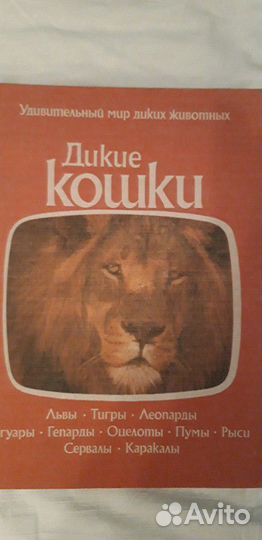 Книги СССР