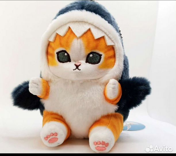 Кот в акуле