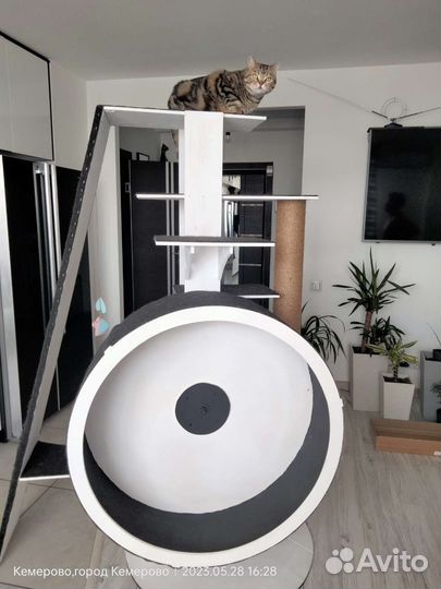 Домик для кошки с беговым колесом