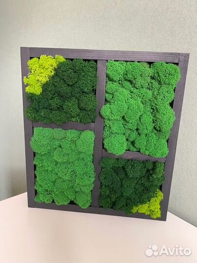 Стабилизированный мох, фитобокс