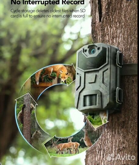 Фотоловушка HC300 20мп