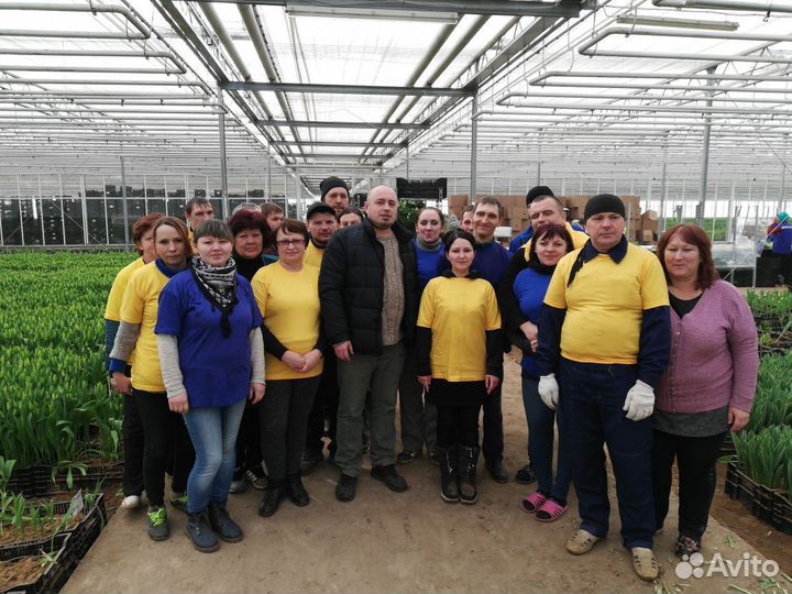 Работа вахтой с проживанием и питанием, Упаковщик