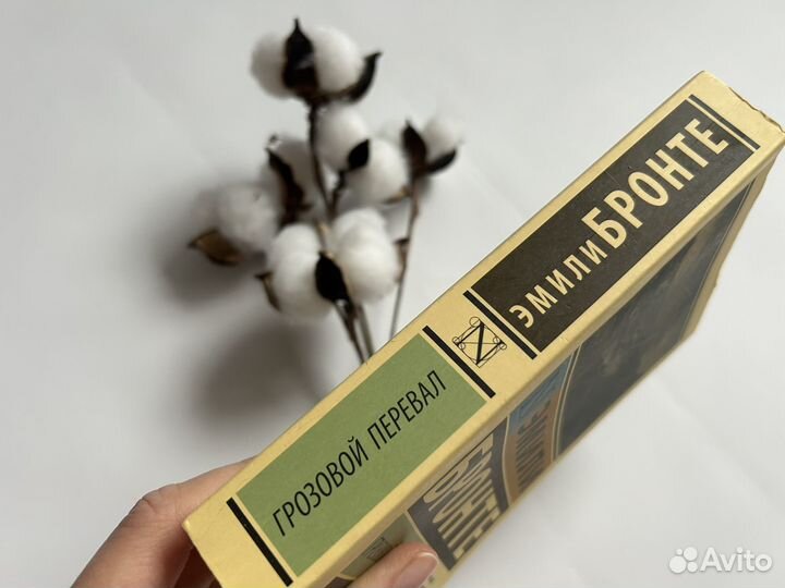 Книга Грозовой перевал Эмили Бронте новая