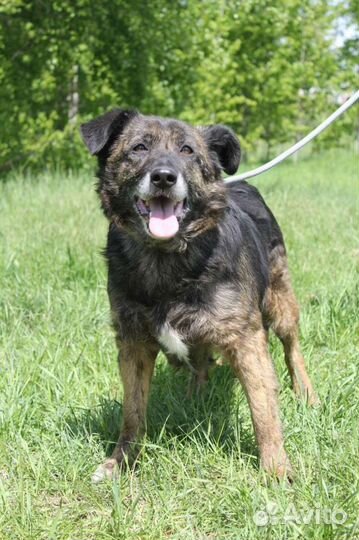 Мир который она видет из решётки, спаси ее