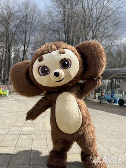 Медведь/ Чебурашка/ Панда / экспресс поздравление