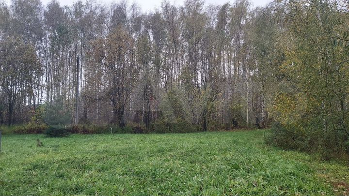 Участок 8 сот. (ИЖС)