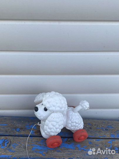 Собаки каталки