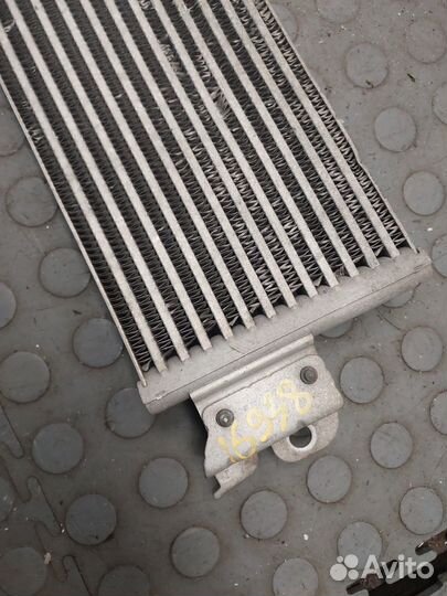 Радиатор масляный Volkswagen Arteon, 2019