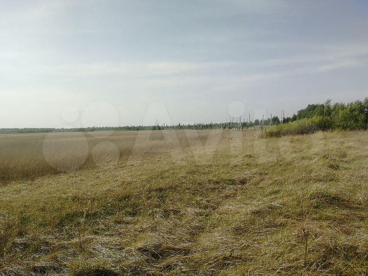 Участок 130 га (СНТ, ДНП)