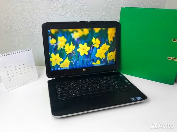 Dell Latitude для учебы и работы