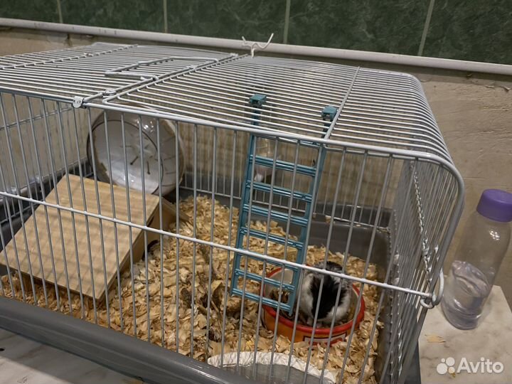 Клетка для грызунов