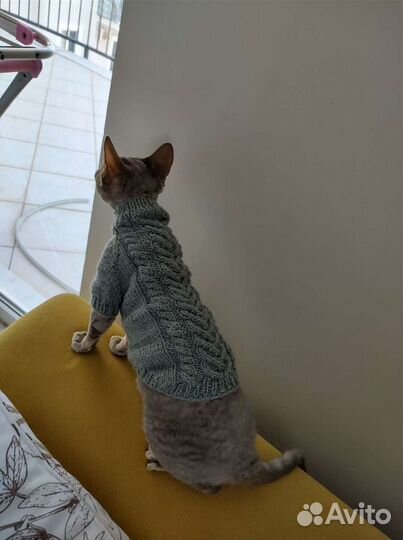 Кофта вязаная ручной работы для кота или собачки
