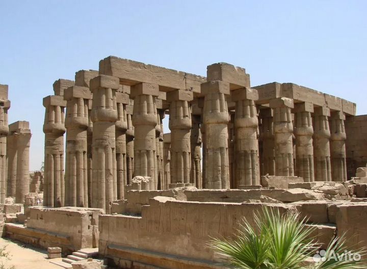 Тур в Egypt 7 дней